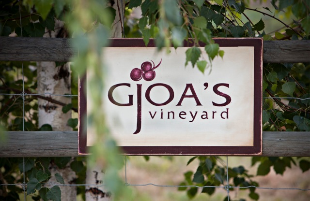 Gjoas Vineyard | 1215 Poplar Grove Rd, Penticton, BC V2A 8T6, Canada | Phone: (403) 606-6062