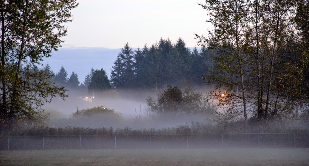 Bell Park | 205b St, Langley City, BC V3A 2P1, Canada | Phone: (604) 532-7350