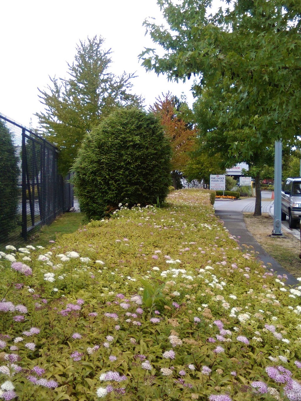 Fraserwood Park | 22020 Fraserwood Way, Richmond, BC V6W 1J6, Canada