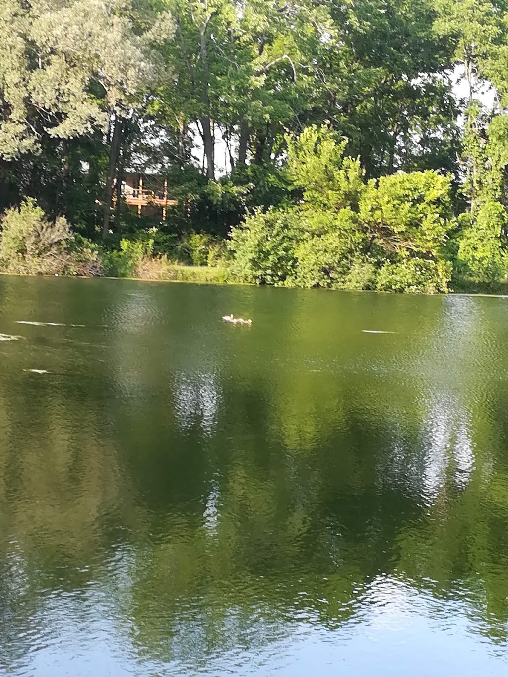 Mount Pleasant Nature Park | 755 Mt Pleasant Rd, Mount Pleasant, ON N0E 1K0, Canada