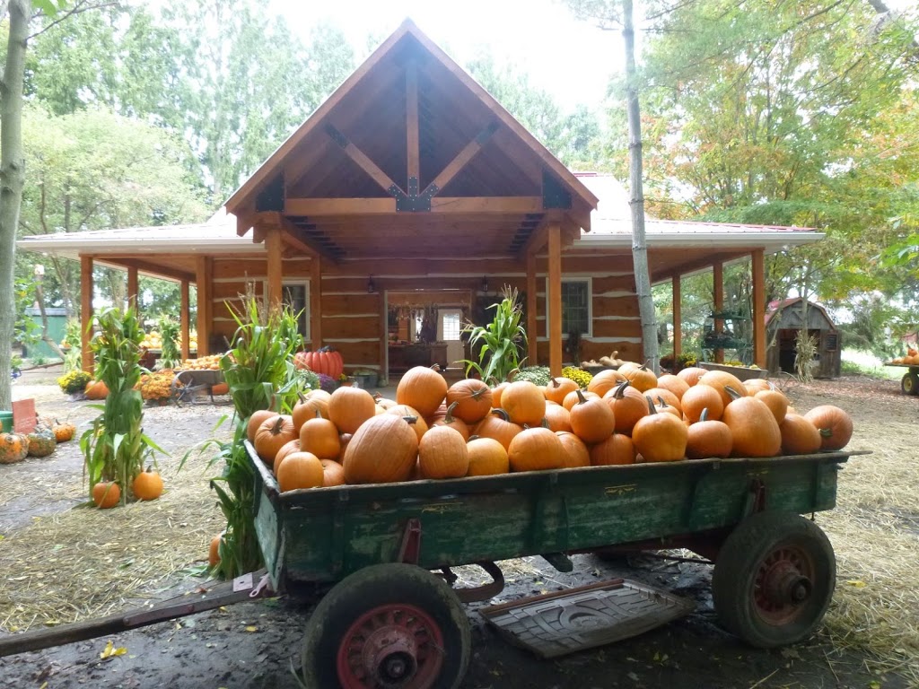 Fall Harvest Farm | 1011 Gerber Rd, St. Agatha, ON N0B 2L0, Canada | Phone: (226) 791-7601