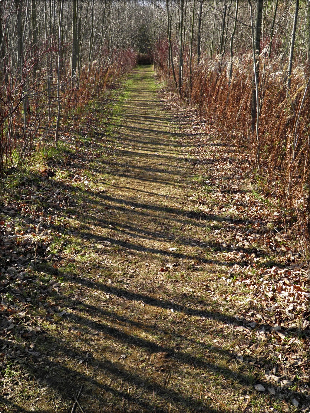 Laurel Creek Nature Centre | 525 Beaver Creek Rd, Waterloo, ON N2V 2L3, Canada | Phone: (519) 885-1368