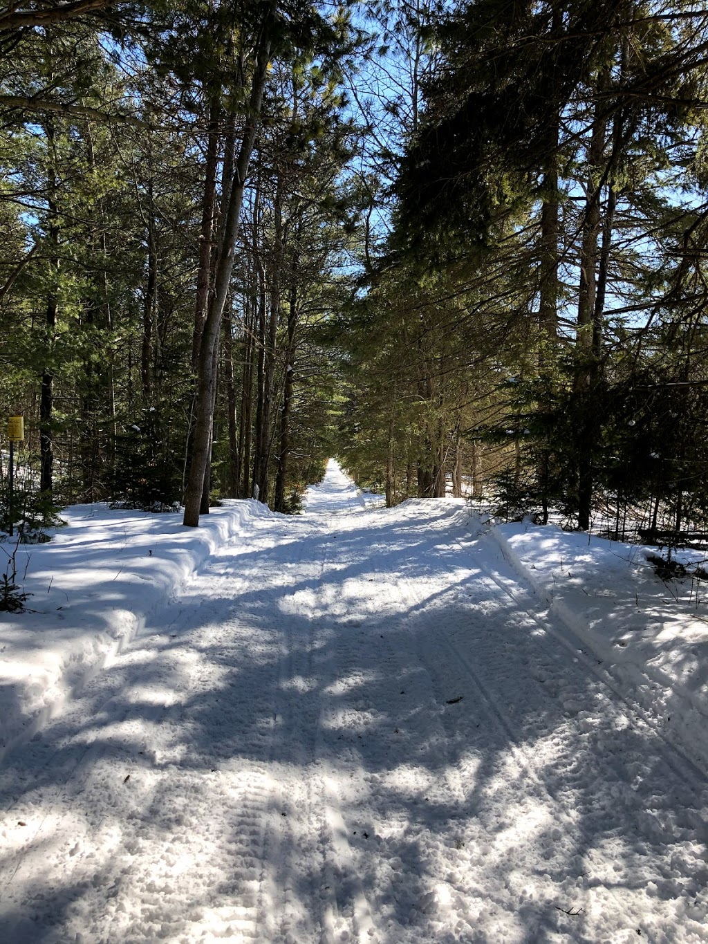Northumberland County Forest | Alnwick/Haldimand, ON K0K 2X0, Canada | Phone: (905) 372-3329