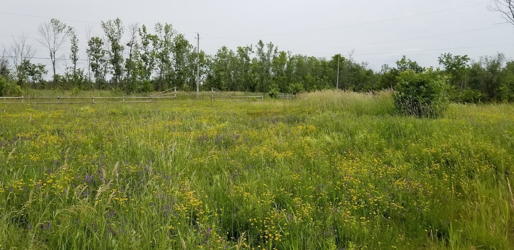 Lisa Bee | 594 Caton Rd, Bath, ON K0H 1G0, Canada | Phone: (613) 881-0749