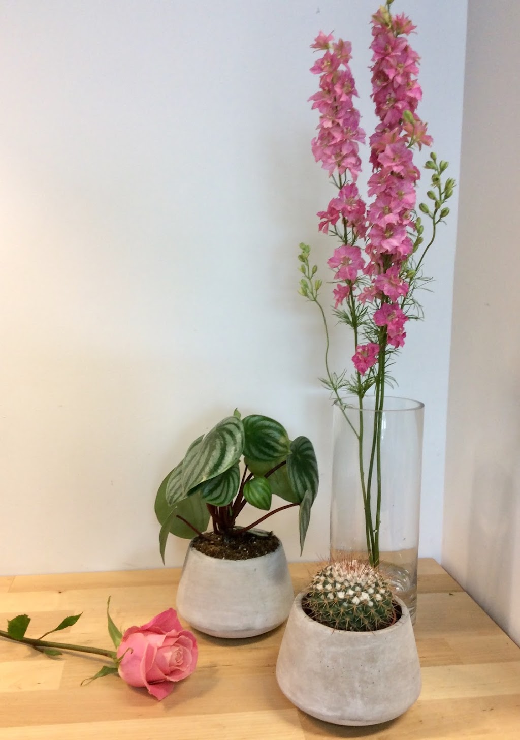 Fleuriste H W Mc Kenna | 3440 Chem. des Quatre-Bourgeois, Québec, QC G1W 4T3, Canada | Phone: (418) 653-6847