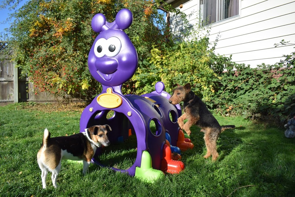 Animal Magic Pet Resort & Spa | 1004 Bellevue Rd, Parksville, BC V9P 2C2, Canada | Phone: (250) 248-8700
