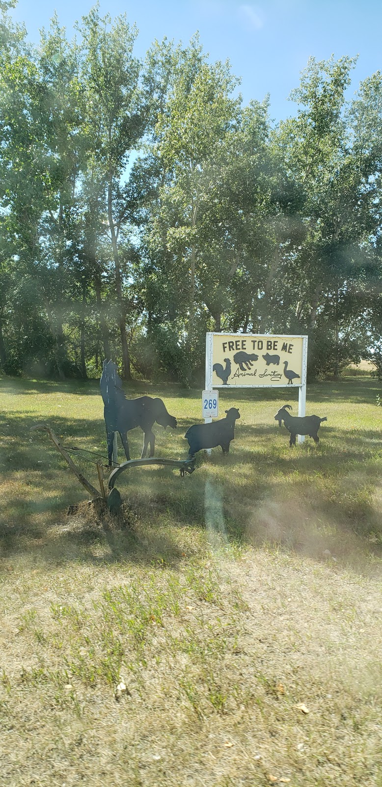 Free to be Me Animal Sanctuary | Moose Jaw No. 161, SK S0H 0N0, Canada | Phone: (306) 684-2231