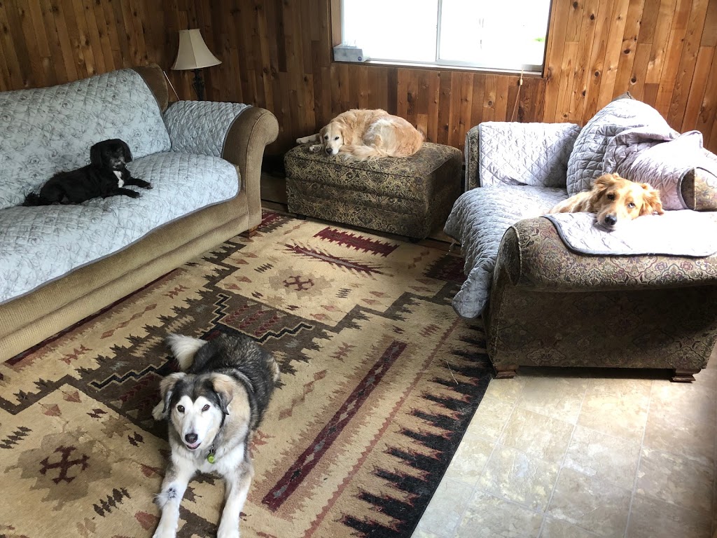 Liberty Farm - Dog & Horse Ranch | 25027 Robertson Crescent, Aldergrove, BC V4W 1W7, Canada | Phone: (604) 786-2570