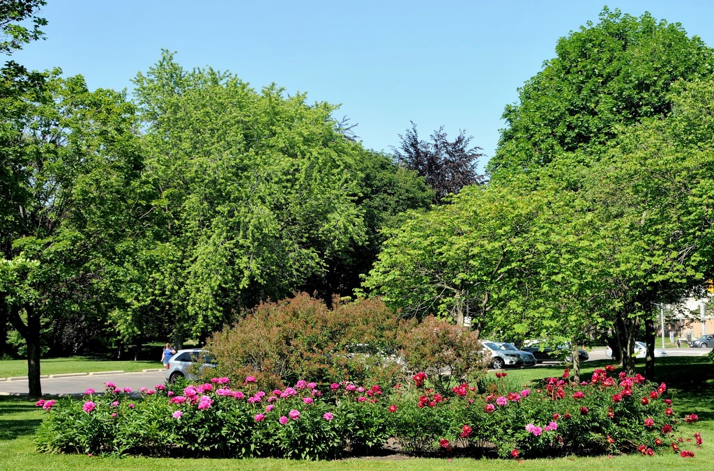 Brueckner Rhododendron Gardens - 660 Lakeshore Rd W, Mississauga, ON ...