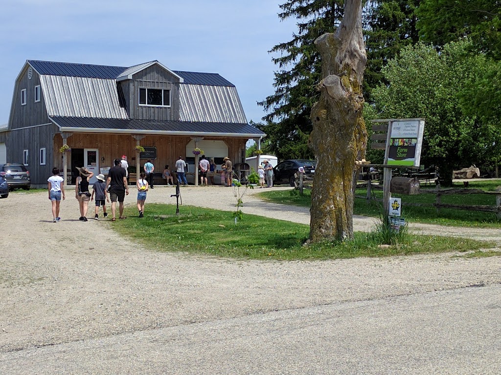 Reroot Organic Farm | 5642 11 Line, Harriston, ON N0G 1Z0, Canada | Phone: (519) 820-1891