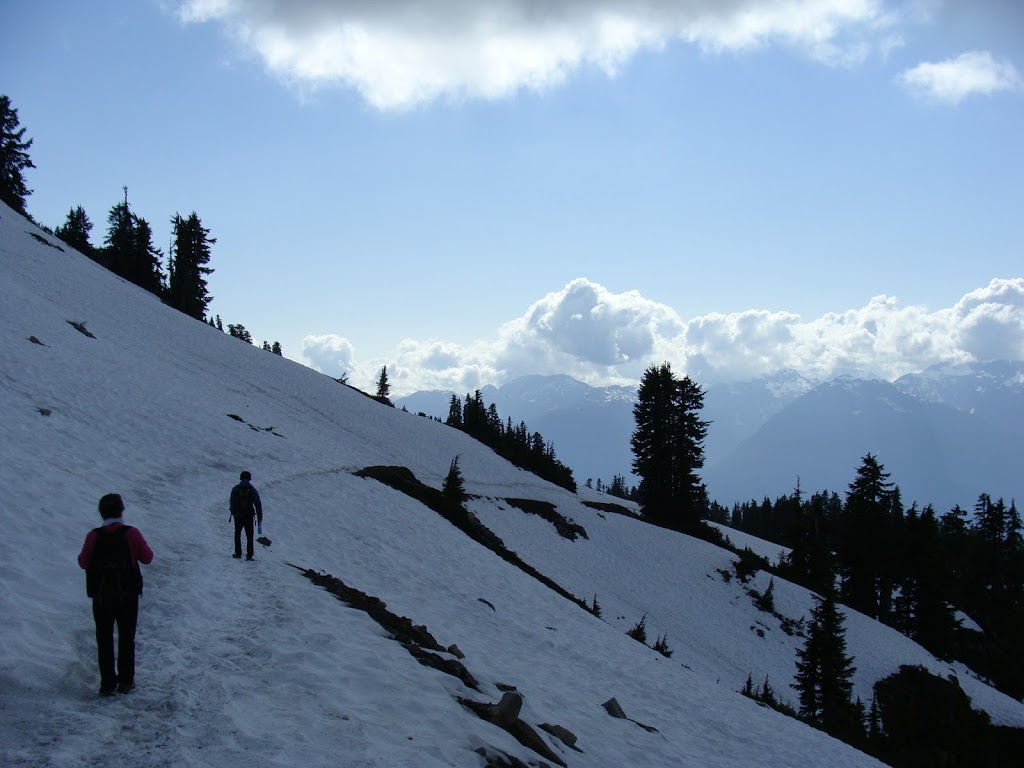 Elfin Lake Trailhead | Diamond Head Trail, Whistler, BC V0N 0A0, Canada | Phone: (800) 689-9025