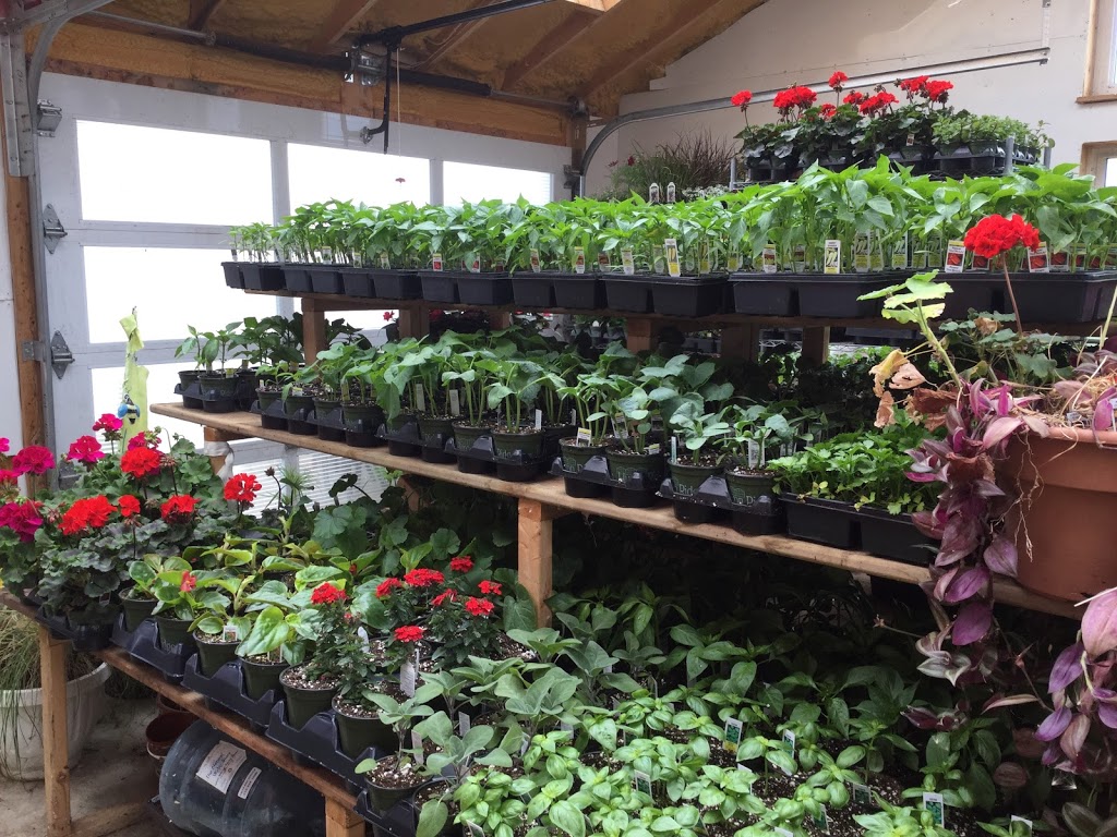 Rosemount Farms | 622 Concession Rd 2, Dobbinton, ON N0H 1L0, Canada | Phone: (519) 934-2511