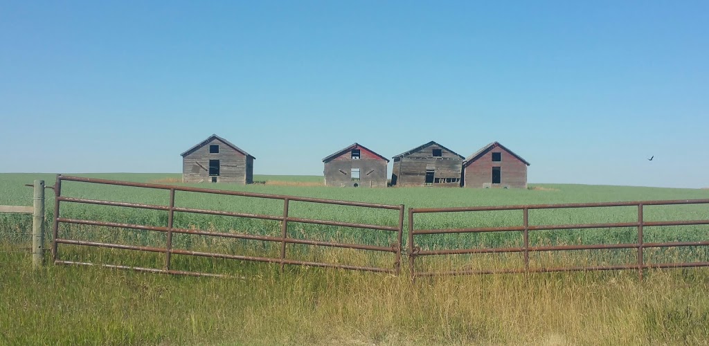 Goldenrod Community Hall | Goldenrod Community Hall, AB-772, Airdrie, AB T0M 0E0, Canada | Phone: (403) 948-2618