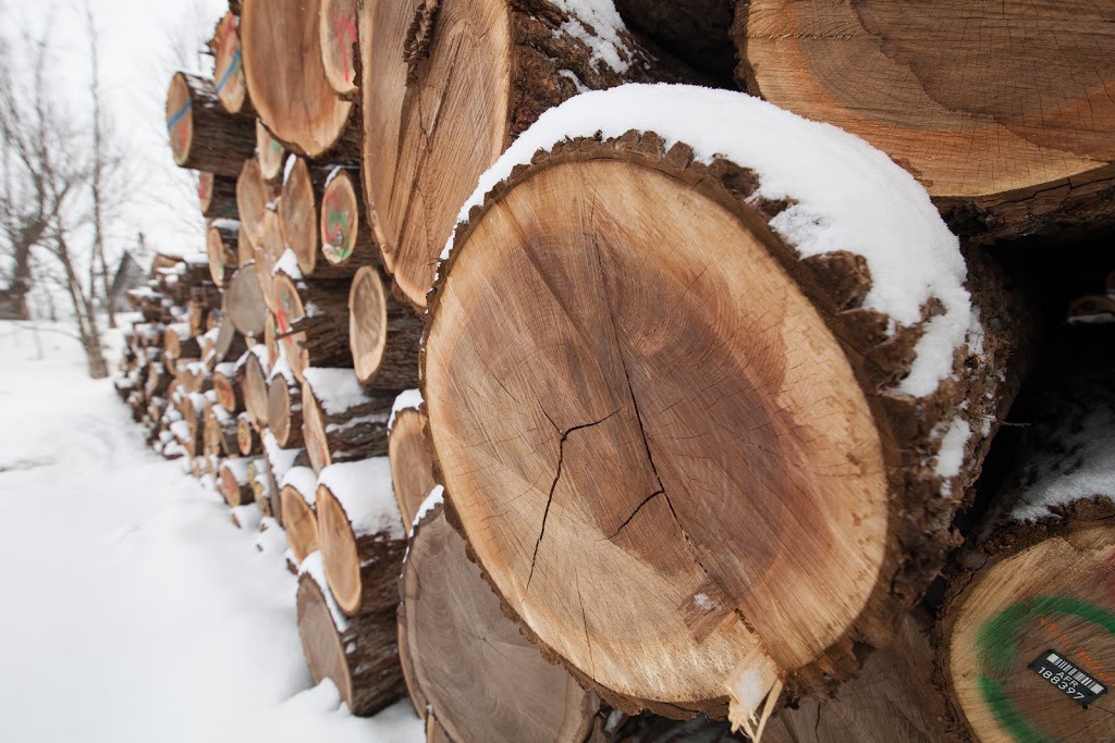 Vexco Inc (Division Scierie) | 2441 QC-165, Saint-Ferdinand, QC G0N 1N0, Canada | Phone: (418) 428-3704