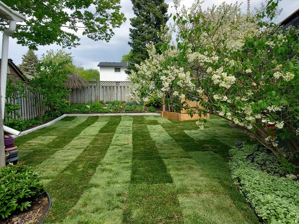 Blade Landscaping | 340 Brantwood Park Rd, Brantford, ON N3P 1L2, Canada | Phone: (519) 865-9140