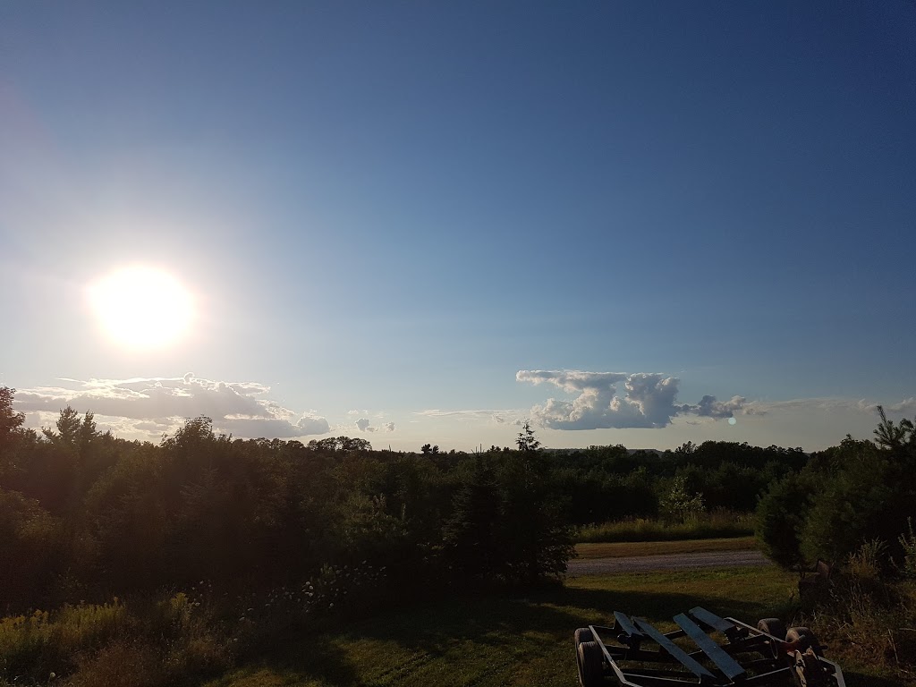 Natures Point of View Outdoor Adventures | 37 Bruhm Ln, Mahone Bay, NS B0J 2E0, Canada | Phone: (902) 624-9638