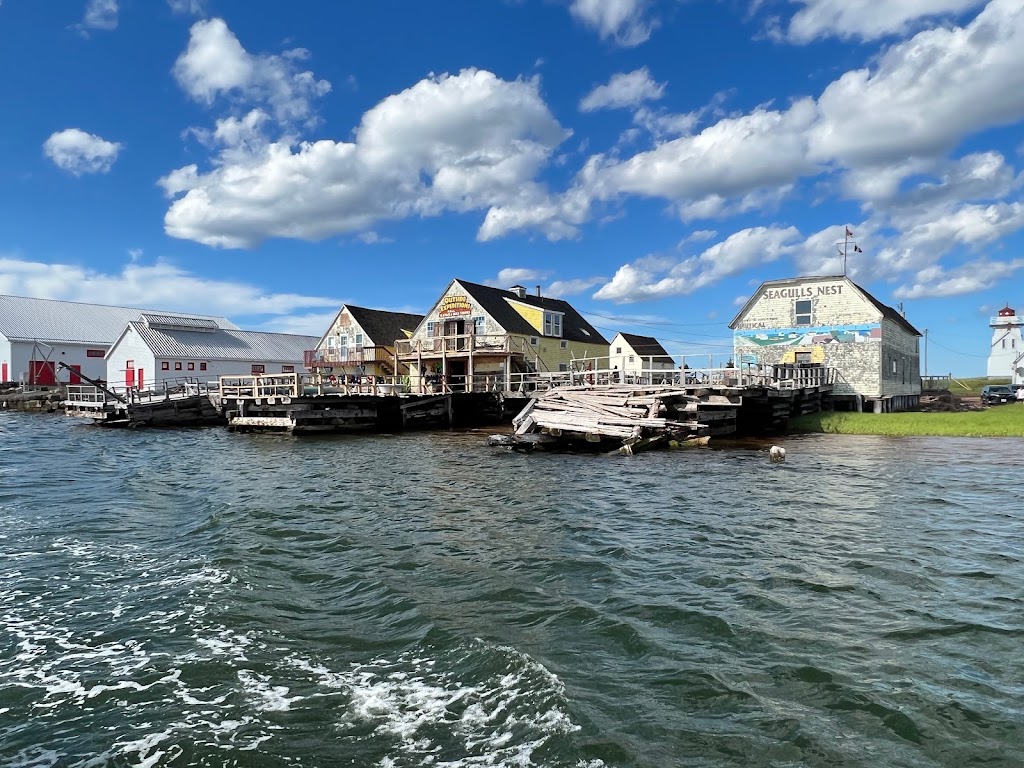 Joeys Deep Sea Fishing | 52 Harbourview Dr, North Rustico, PE C0A 1X0, Canada | Phone: (902) 963-2295