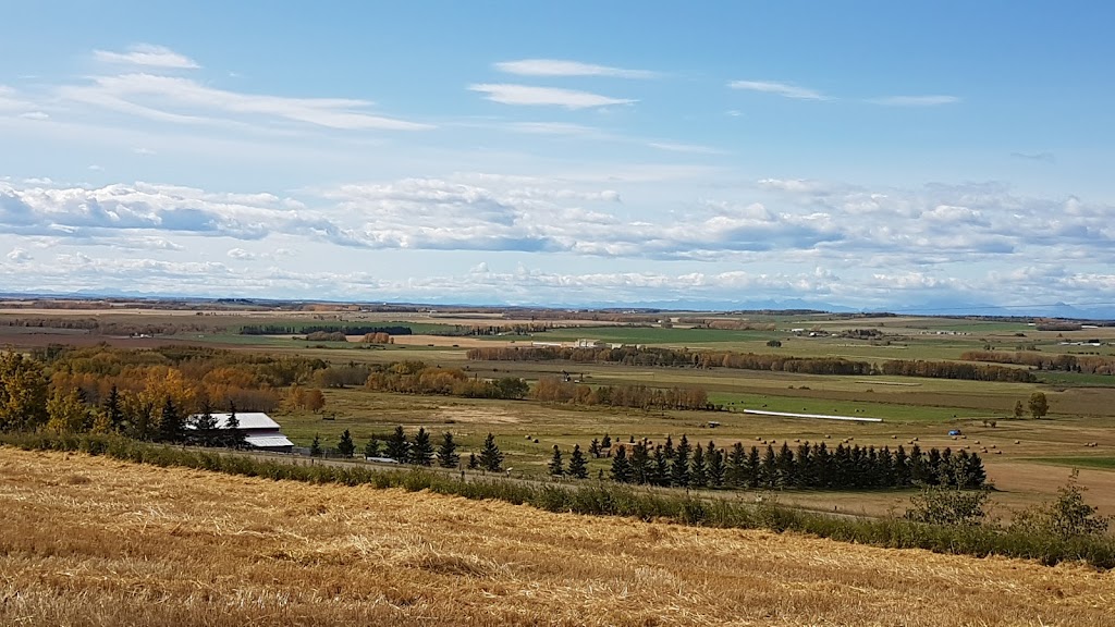 Westerdale Farms | AB-766, AB T0M 0W0, Canada | Phone: (403) 335-4136