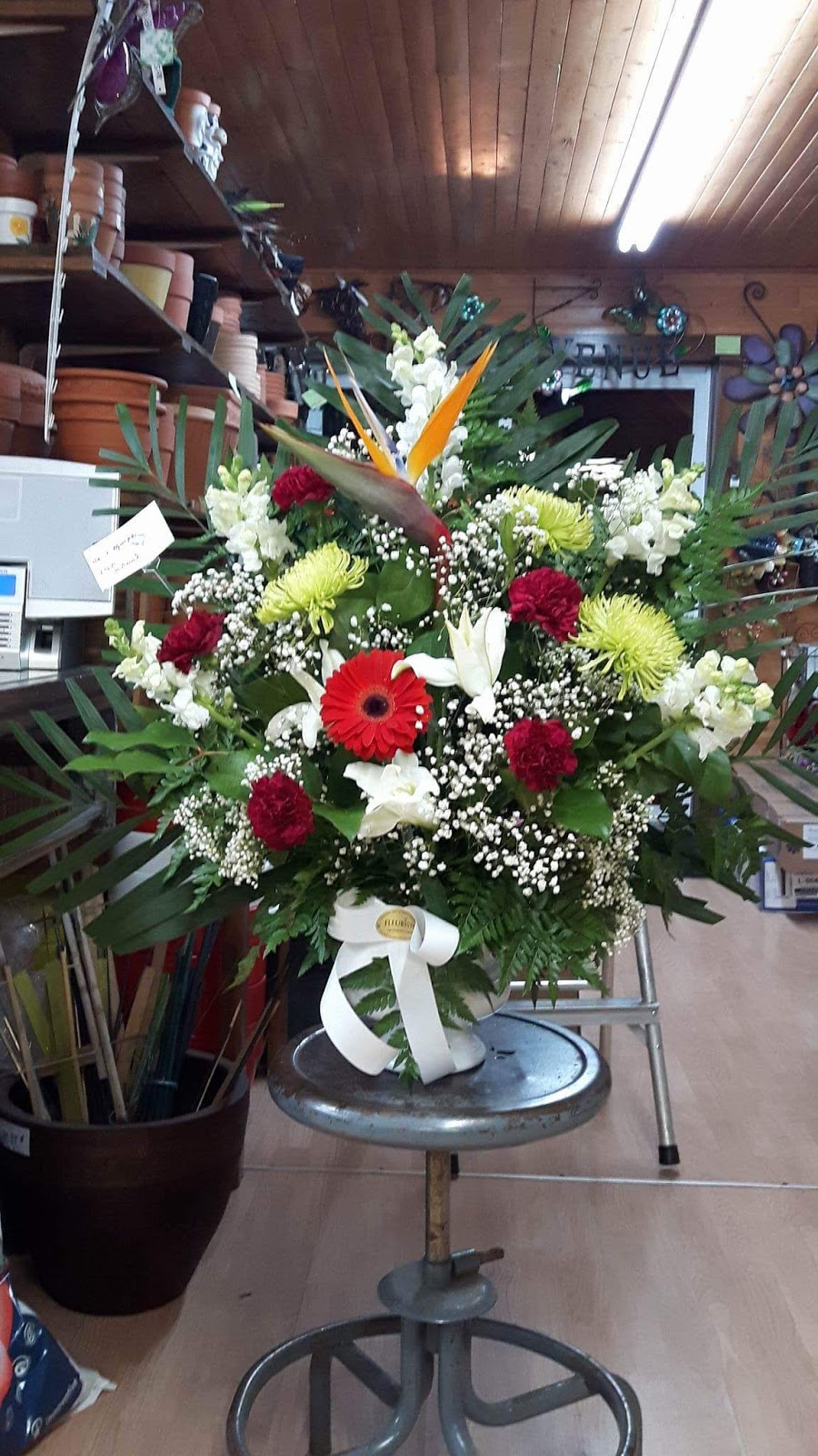 Centre de Jardinage 440 | 5412 Boulevard des Laurentides, Laval, QC H7K 2K2, Canada | Phone: (450) 625-5496