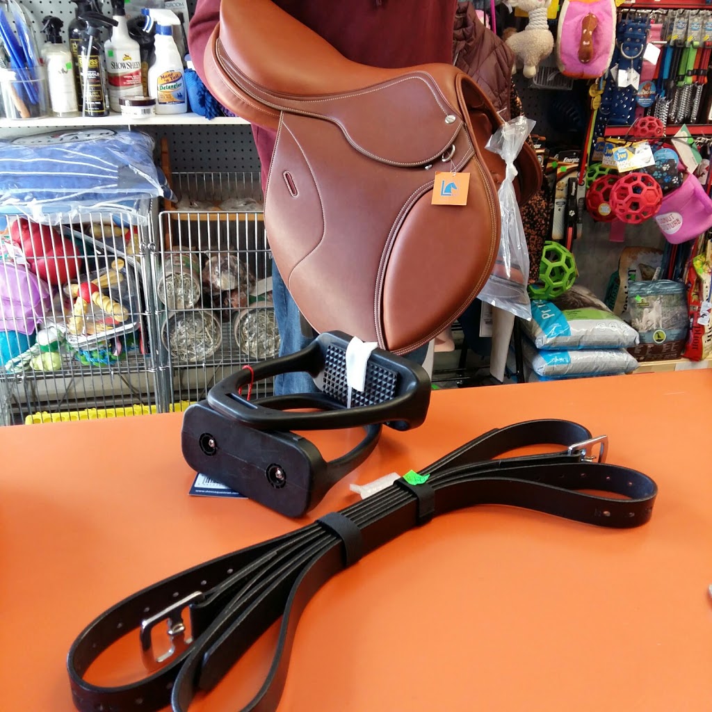 Pet Tyme-Animal Krackers! | 12281 ON-35, Minden, ON K0M 2K0, Canada | Phone: (705) 286-4893