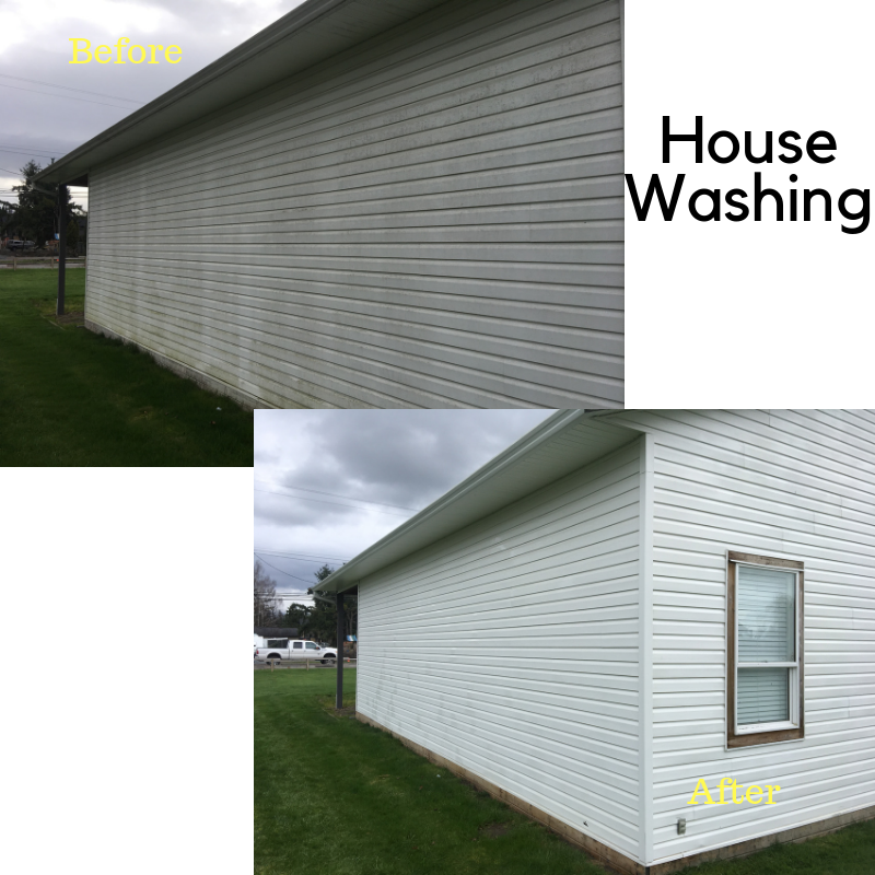 Canadian Pro Clean | 18-5837 Sappers Way, Chilliwack, BC V2R 0G4, Canada | Phone: (604) 819-2108