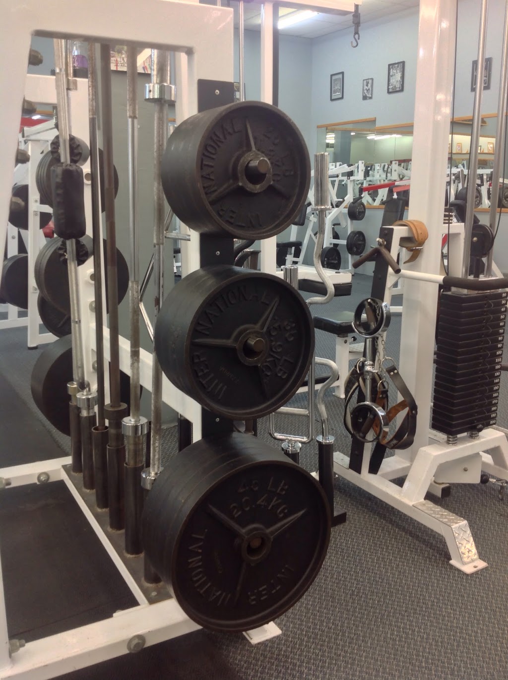 Mariposa Iron Company Inc | 7550 Rama Rd, Washago, ON L0K 2B0, Canada | Phone: (705) 689-4001