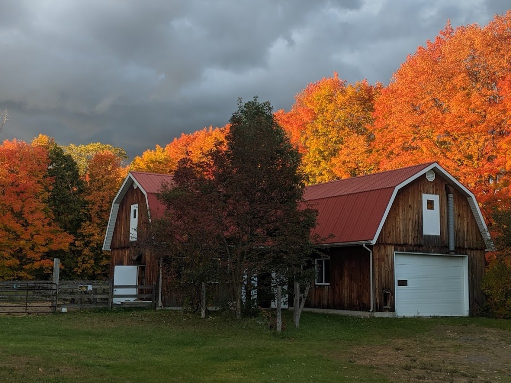 Ferme Résilience | 241 Rang du Pied de la Montagne, Sainte-Mélanie, QC J0K 3A0, Canada | Phone: (450) 365-5436