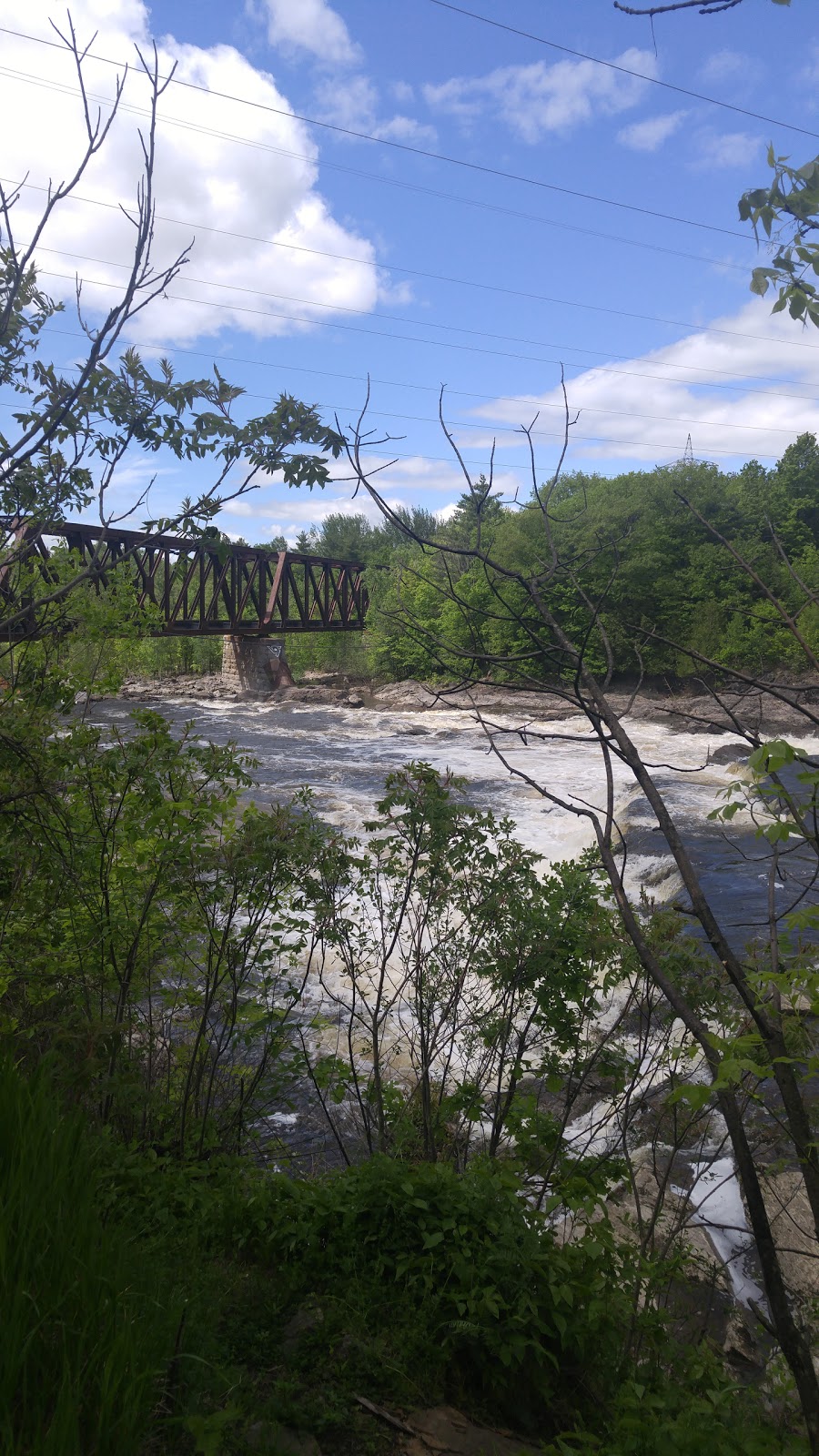Parc Armand « Daddy » Lacelle | 833 Chemin de Masson, Gatineau, QC J8M 1A3, Canada