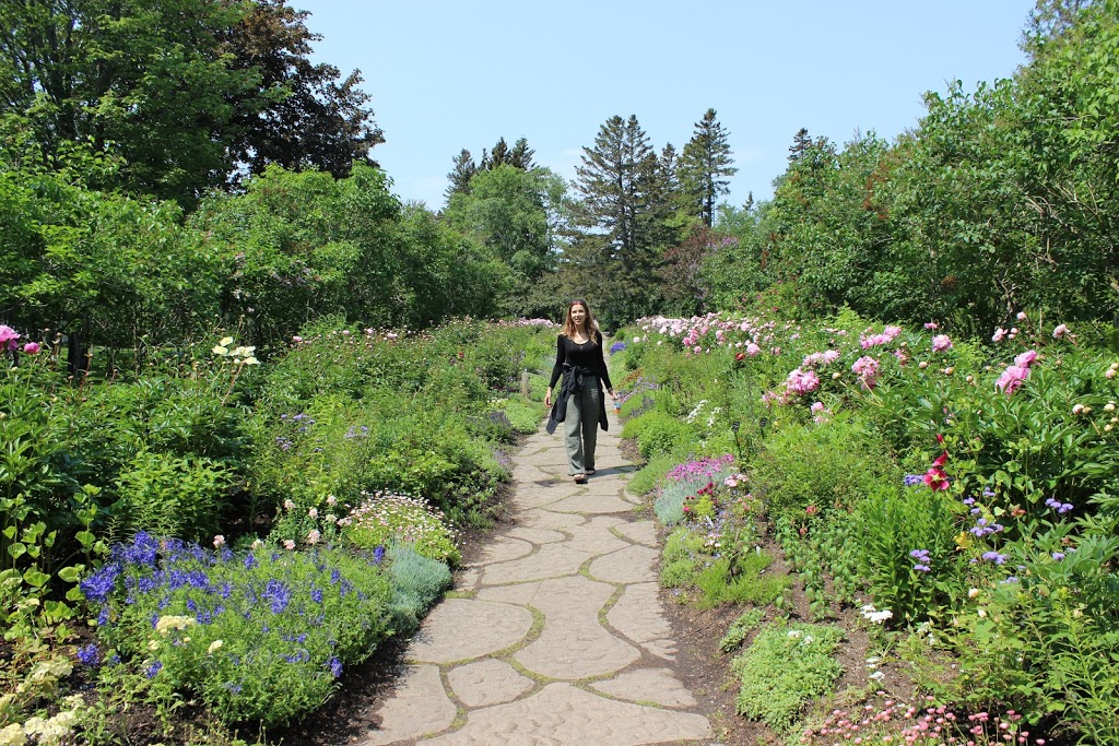 Johanne Bégin naturopathe ND. Agréée | 69 Boulevard Saint-Joseph, Gatineau, QC J8Y 3W2, Canada | Phone: (819) 360-9665