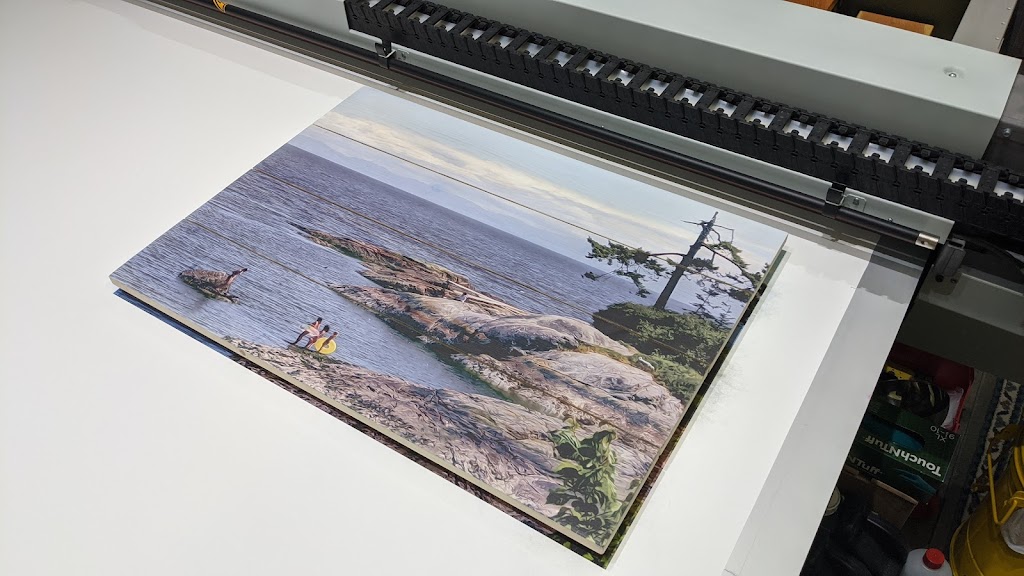 Raven Imaging | 6043 Kaspa Rd, Duncan, BC V9L 5P7, Canada | Phone: (604) 351-5467