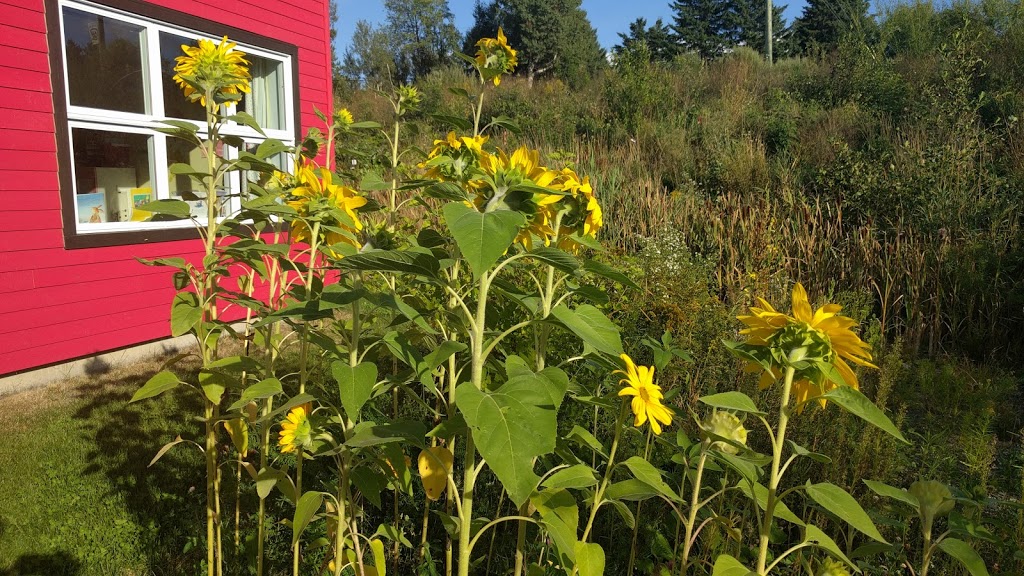 Garderie Maternelle Hibouge et Bilingo | 100 Rue De La Baronne, Stoke, QC J0B 3G0, Canada | Phone: (819) 543-2543
