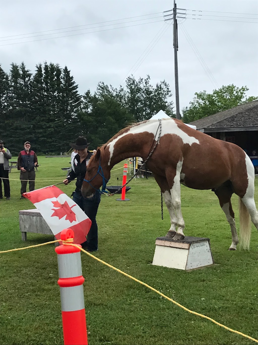 Bonar Law Common | 31 Bonar Law Ave, Rexton, NB E4W 1V6, Canada | Phone: (506) 523-6921