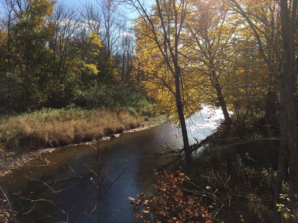 Peaceful River Campground Ltd. | 120 MacIntosh Rd, Scotsburn, NS B0K 1R0, Canada | Phone: (902) 351-3416
