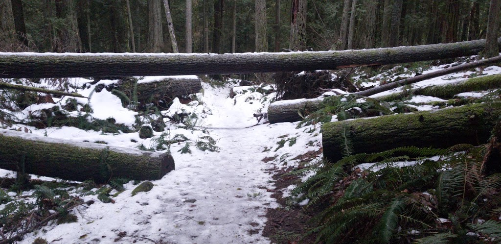 Stimpson Family Nature Reserve | 2076 Lake Louise Rd, Bellingham, WA 98229, USA | Phone: (360) 778-5850