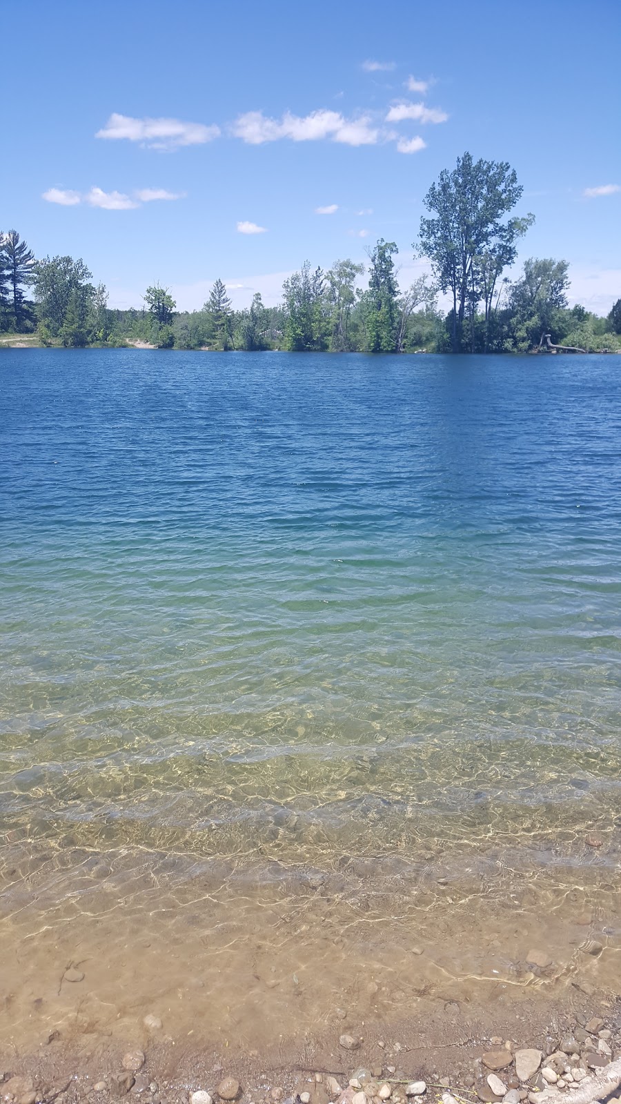 Brant Conservation Area | 119 Jennings Rd, Brantford, ON N3T 5L7, Canada | Phone: (519) 752-2040