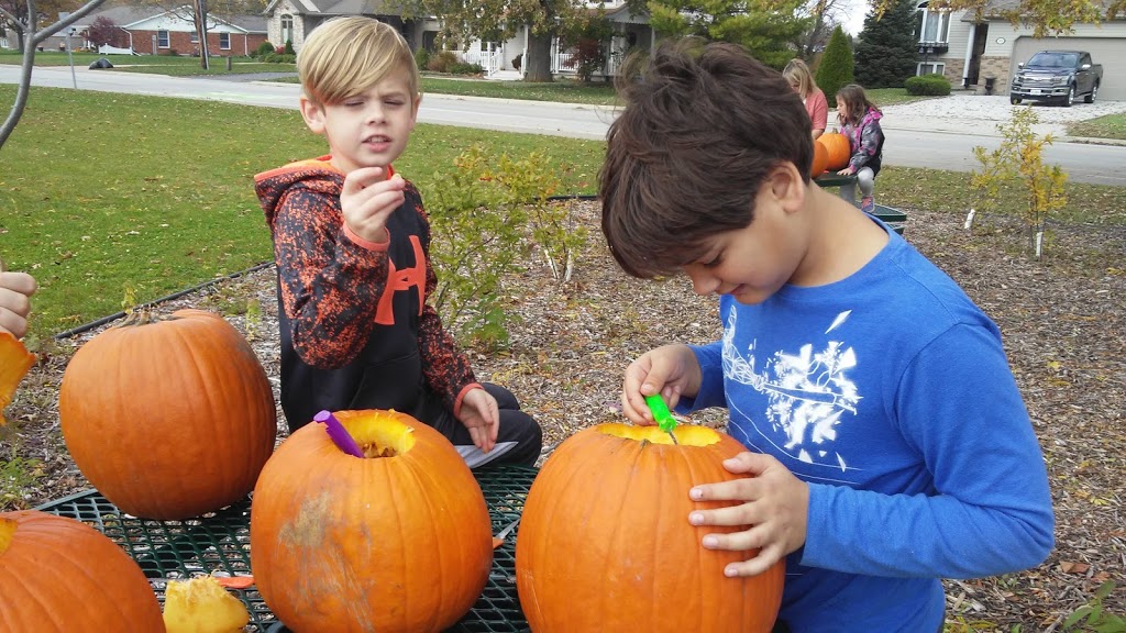 Holy Name Catholic Elementary School | 200 Fairview Ave W, Essex, ON N8M 1Y1, Canada | Phone: (519) 776-7351