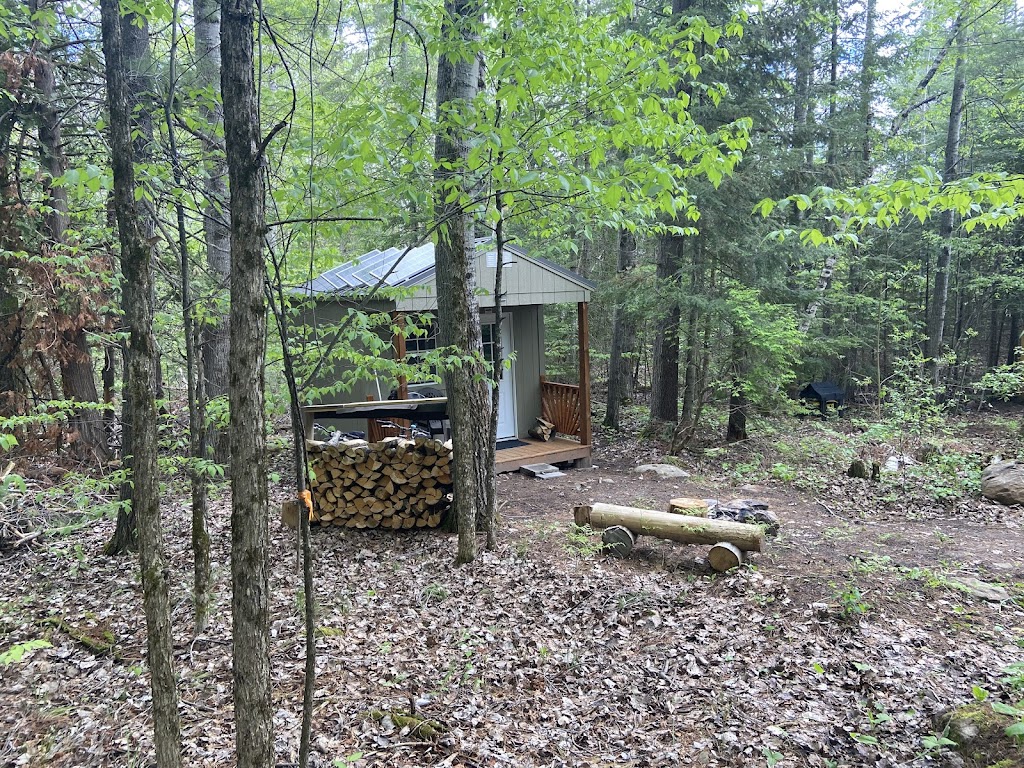 The Cabin | 31133 Hwy 41, Eganville, ON K0J 1T0, Canada | Phone: (905) 432-5666
