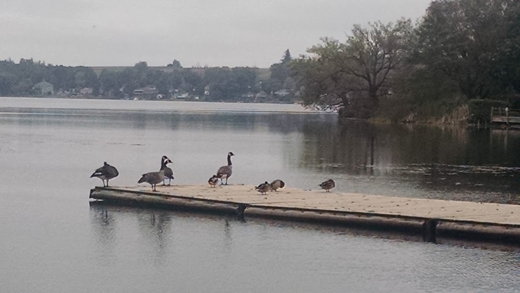 Boat Launch | -9, 5 Old Rail Ln, Port Perry, ON L9L 1C4, Canada | Phone: (905) 985-7346