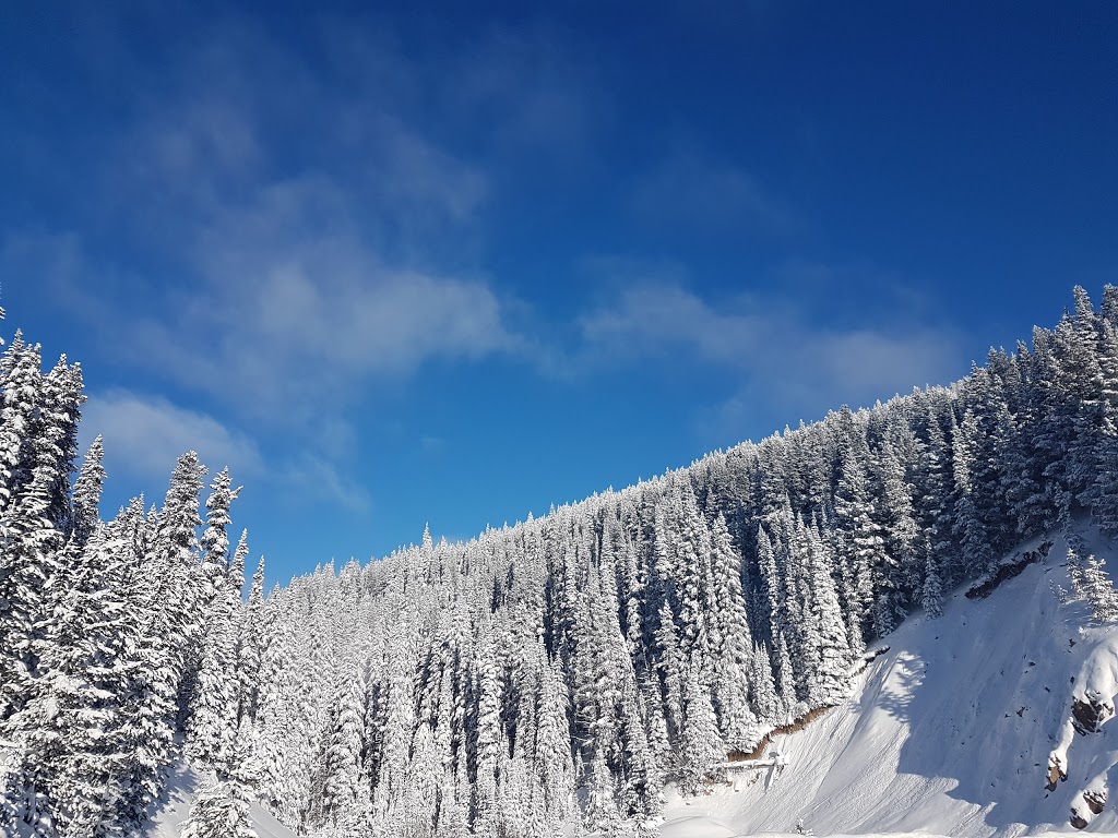 Apex Whitetail Chalet Vacation Condo Rentals | 131 Whitetail Rd, Apex Mountain, BC V2A 8L8, Canada | Phone: (250) 460-0975