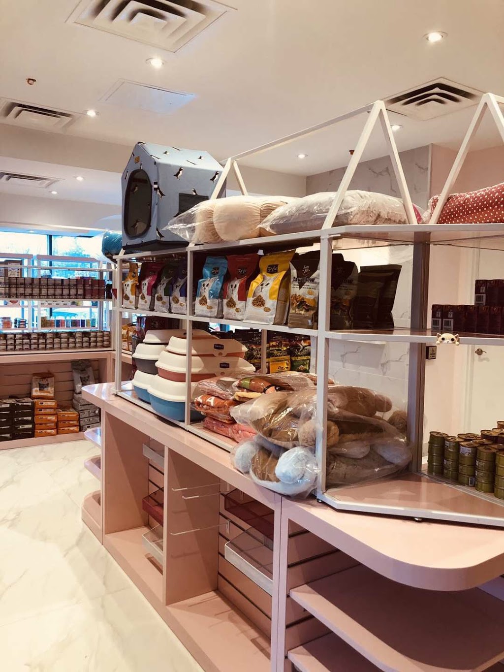 The Bowtail - Mississauga Store | 1900 Dundas St W Unit 29B, Mississauga, ON L5K 1P9, Canada | Phone: (905) 855-2299