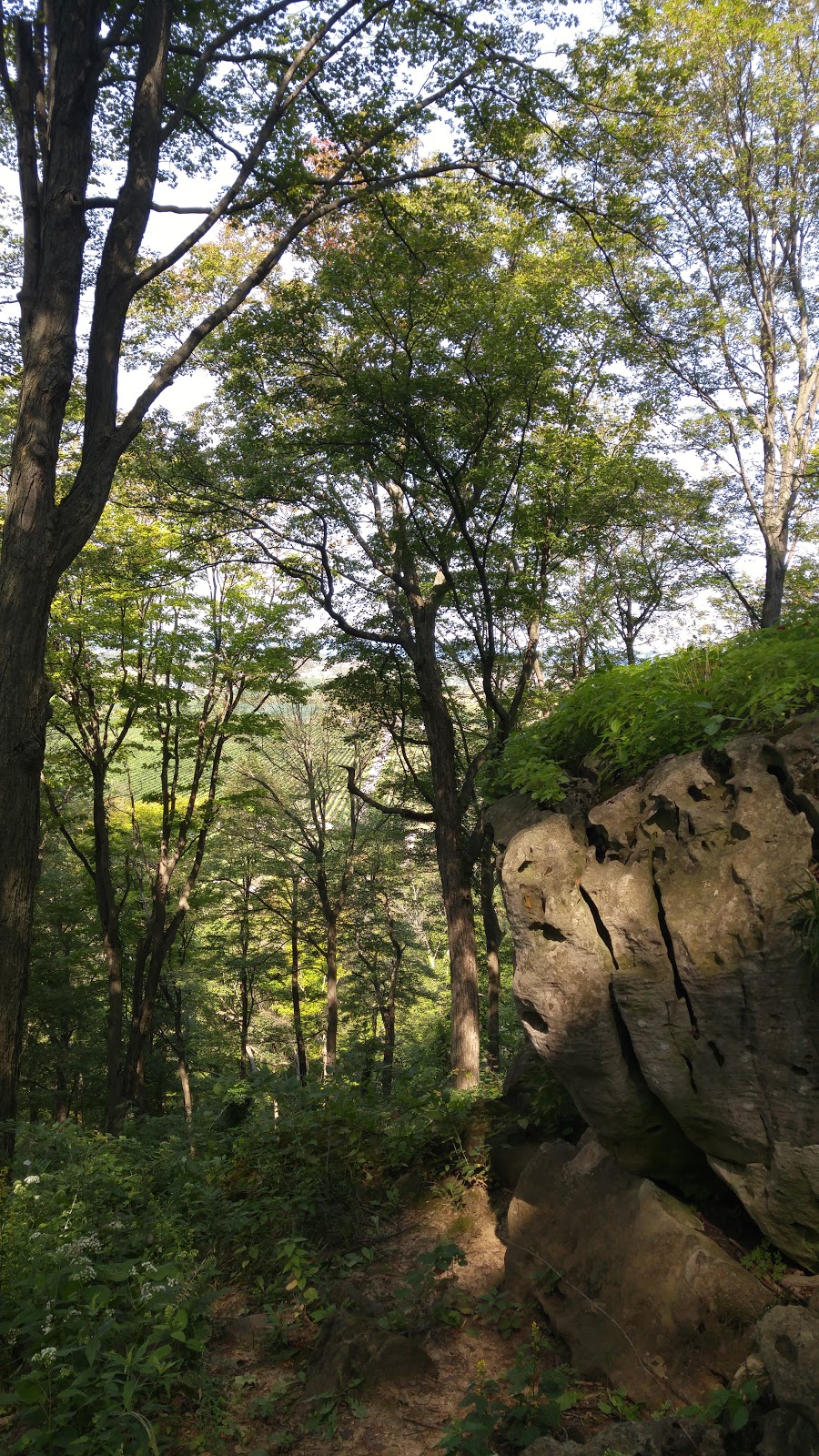 Cave Springs Conservation Area | 3949 Cave Spring Rd, Campden, ON L0R 1G0, Canada