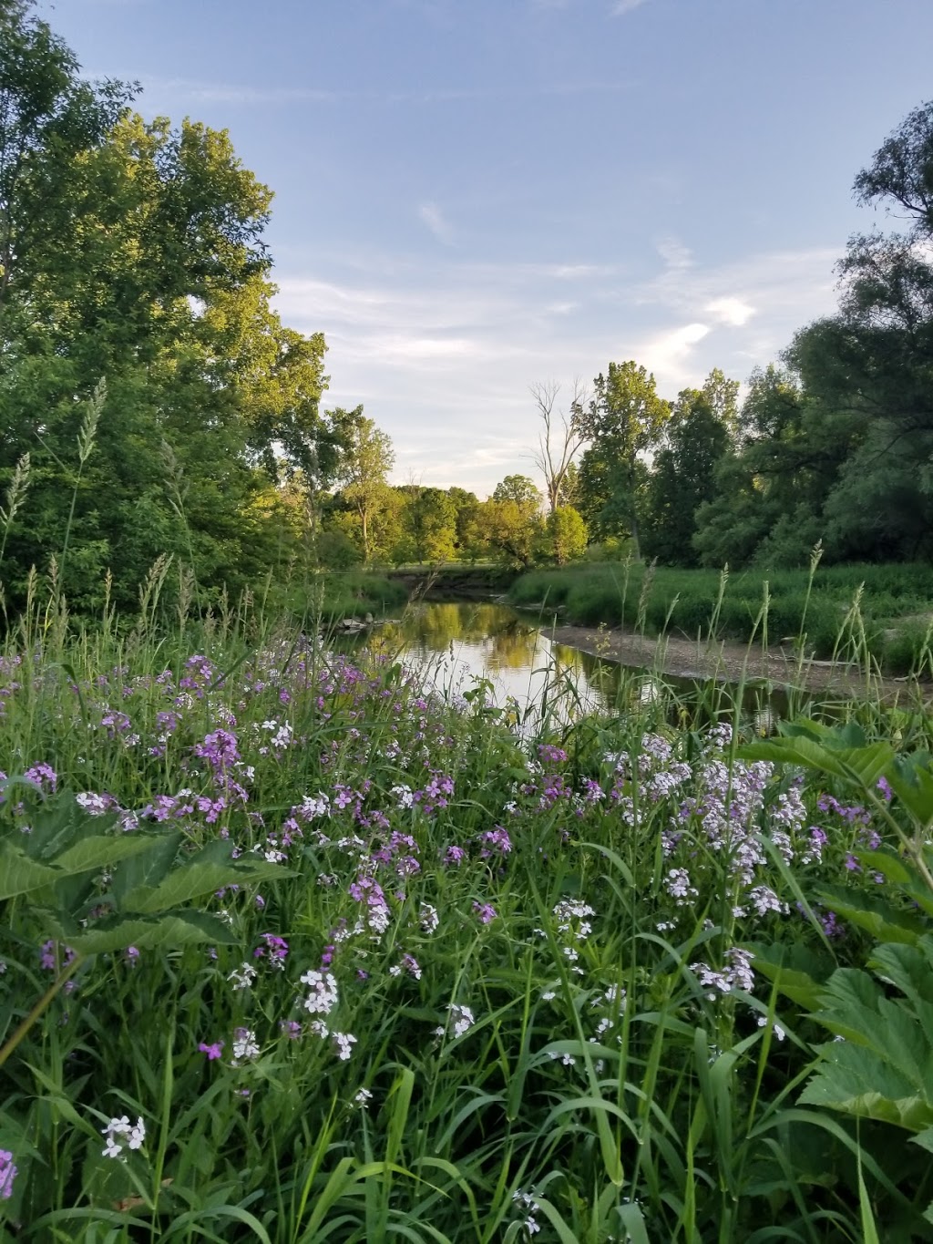 Columbus County Park | 1670 Bauman Rd, Columbus, MI 48063, USA | Phone: (810) 989-6960