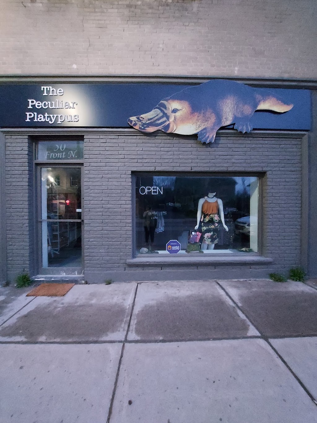 The Peculiar Platypus | 50 Front St N, Campbellford, ON K0L 1L0, Canada | Phone: (705) 947-2247