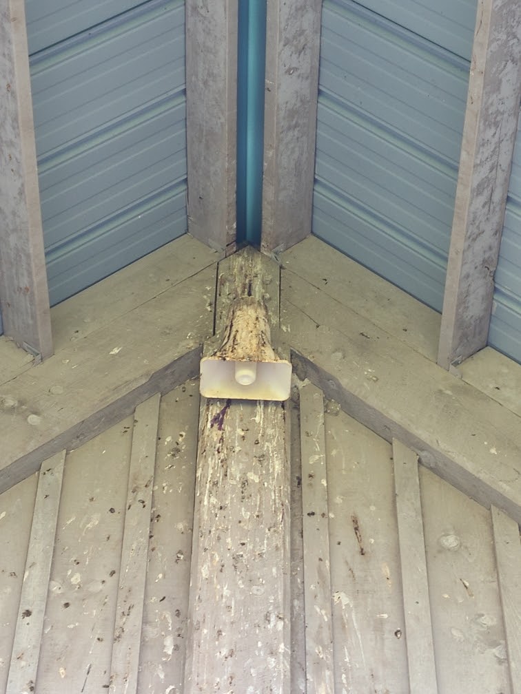 Solace Pest Solutions | 370 Herchimer Ave Unit 442, Belleville, ON K8N 4Z6, Canada | Phone: (613) 902-6333