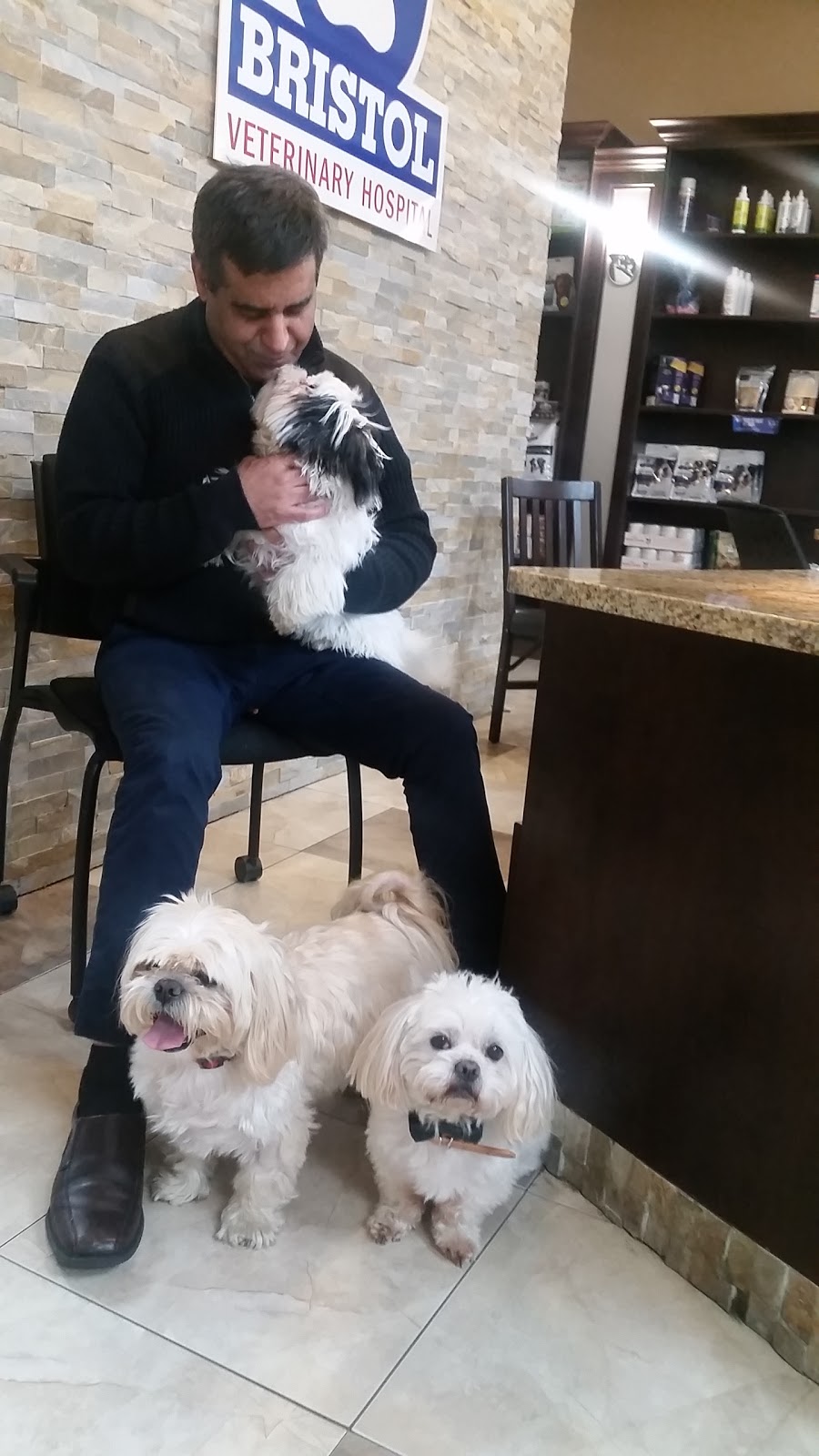 Bristol Veterinary Hospital | 1525 Bristol Rd W #2, Mississauga, ON L5M 4Z1, Canada | Phone: (905) 858-5959