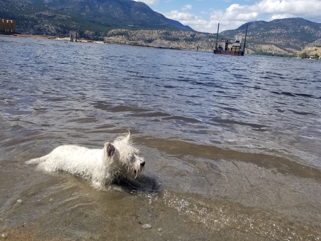 Sutherland Bay Park | 612 Ellis St, Kelowna, BC V1Y 0A2, Canada | Phone: (403) 805-2666