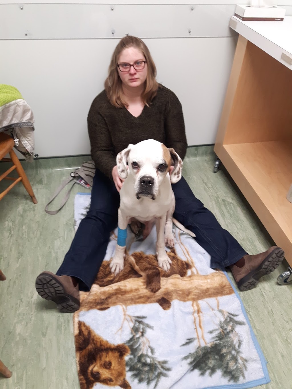 Weste Animal Hospital | 2910 Lawrencetown Rd, Lawrencetown, NS B2Z 1L4, Canada | Phone: (902) 434-8379