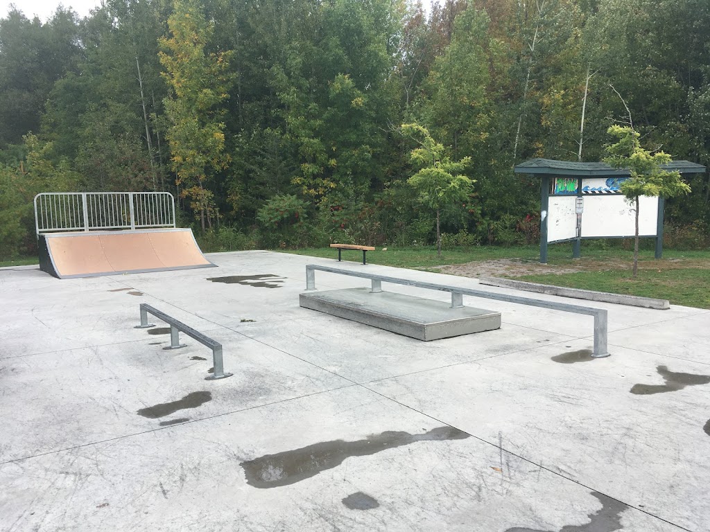 The Wave (Selwyn Skateboard Park) | 20 Concession St, Lakefield, ON K0L 2H0, Canada | Phone: (705) 292-9507