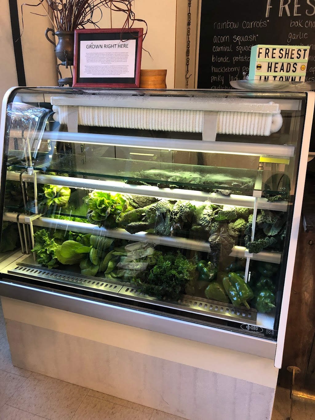 Fresh Heads Farm Shop | 7960 Reesor Rd, Markham, ON L6B 1A8, Canada | Phone: (647) 217-0087