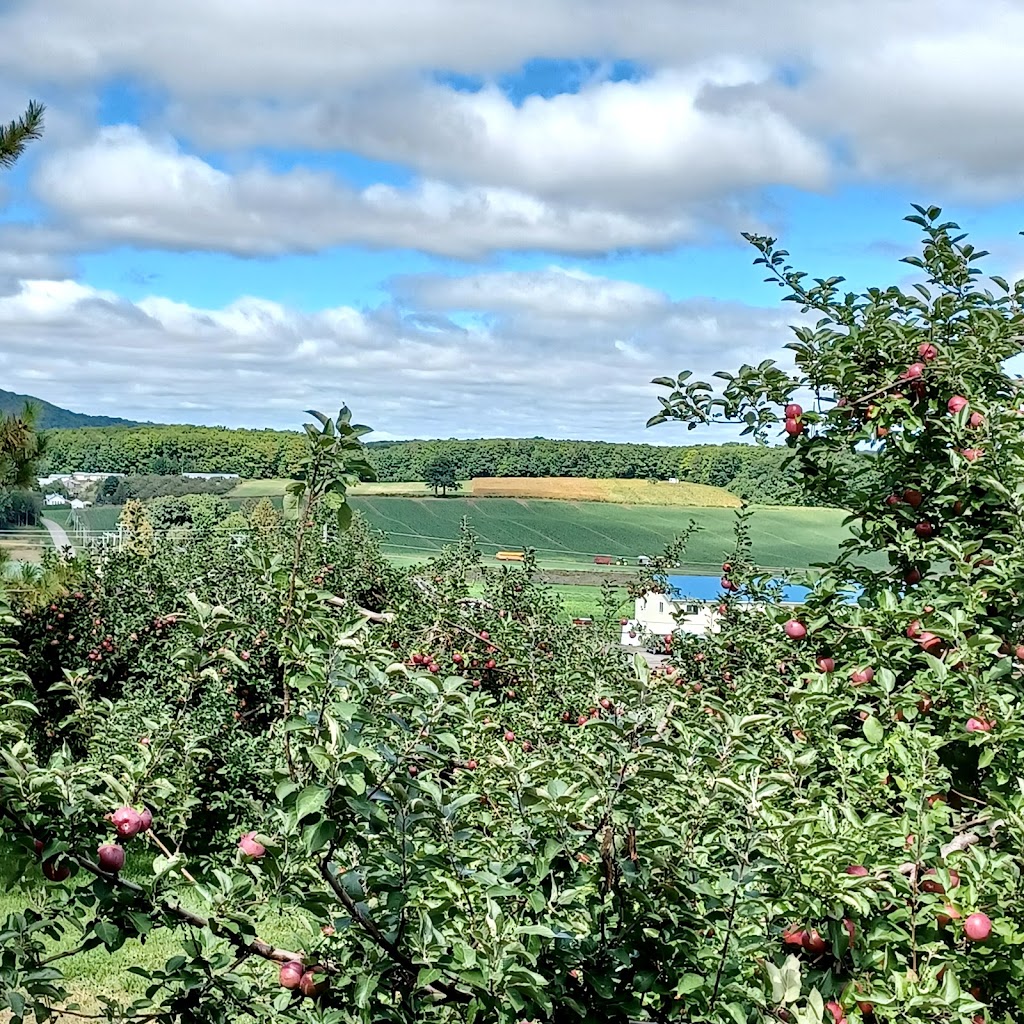 Labonté de la Pomme Verger & Miellerie | 405 Rang de lAnnonciation, Oka, QC J0N 1E0, Canada | Phone: (450) 479-1111